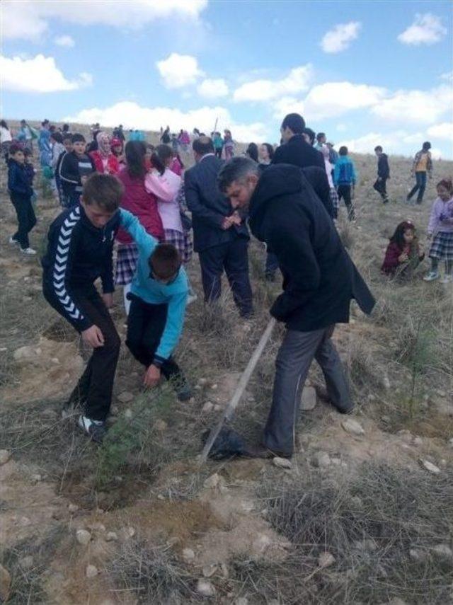 Öğrenciler Fidanları Toprakla Buluşturdu