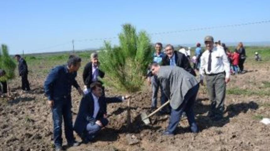 Sedd&uuml;lbahir Kahramanı Bigalı Mehmet &Ccedil;avuş Hatıra Ormanı