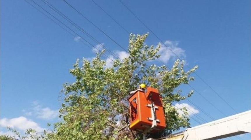 Akdeniz Edaş Gazipaşa&rsquo;da Yaza Hazırlanıyor
