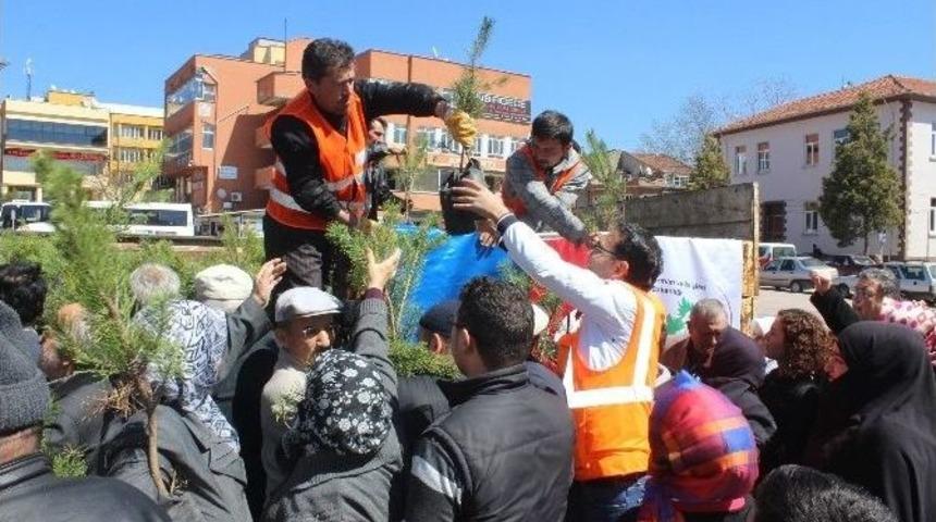 Halka &Uuml;cretsiz Fidan