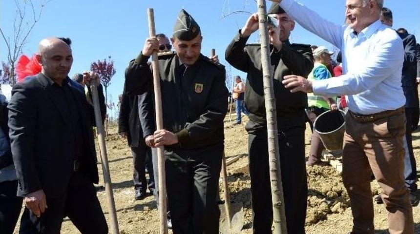 Polis Ve Askerler, Şehit Olan Silah Arkadaşları İ&ccedil;in Fidan Dikti