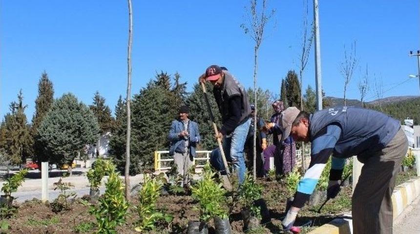 Çavdır Mevsim Çiçekleriyle Bezeniyor