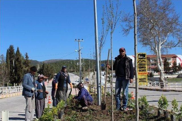 Çavdır Mevsim Çiçekleriyle Bezeniyor