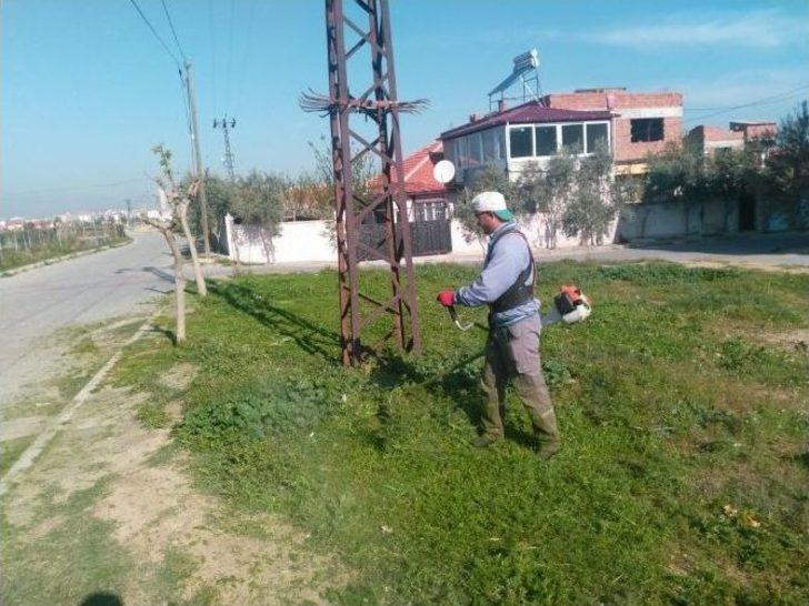 Daha Yeşil Alaşehir İçin Çalışıyorlar G4