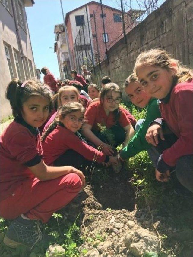 Şehit Salim Uçar İlkokulunda Fidan Dikimi