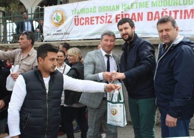 Tekirdağ’da Cuma Namazı Sonrası Ceviz Ve Erguvan Fidanı Dağıtıldı