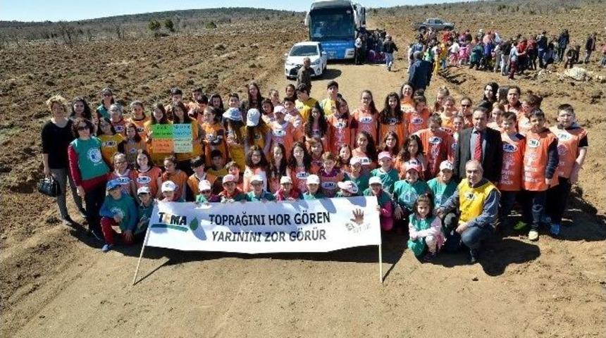 Minik Eller 2 Bin Fidanı Toprakla Buluşturdu