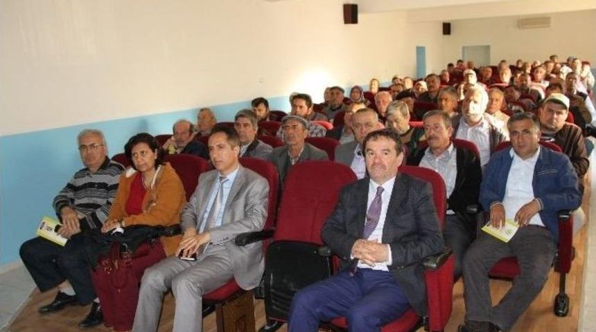 Didim&rsquo;de Zeytin Bilgilendirme Toplantıları S&uuml;r&uuml;yor