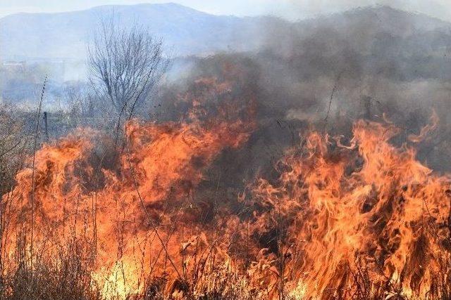 Malatya’da Yangın