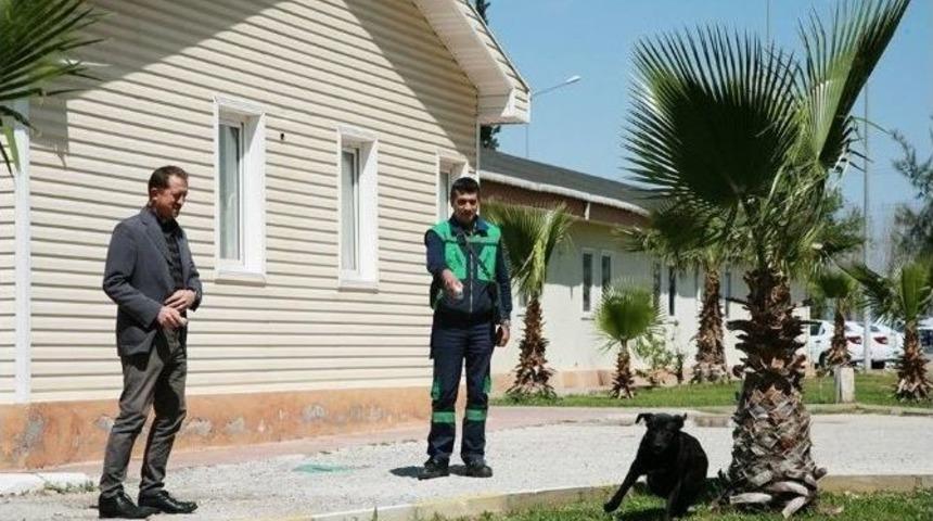 Saya&ccedil; Okuma G&ouml;revlisine &rsquo;k&ouml;peğe Karşı Savunma" Dersi