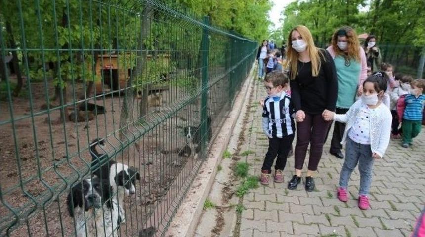 &Ouml;ğrencilerinden Barınağa Ziyaret