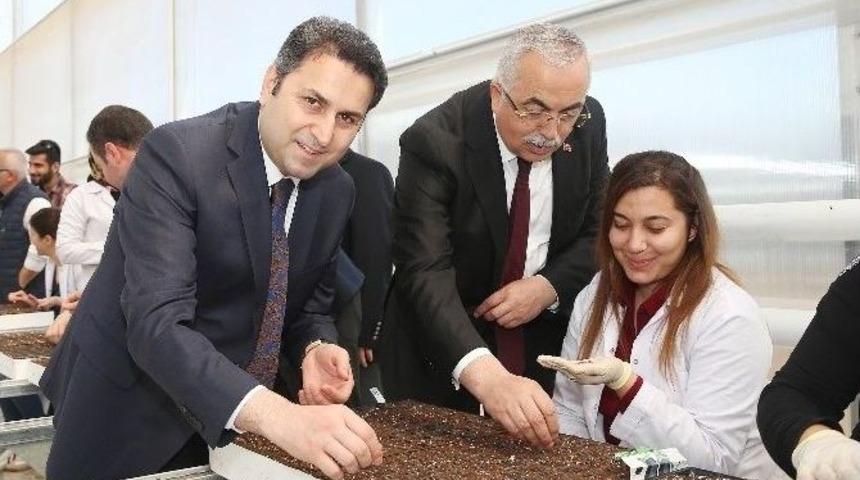 Yerli Yazılımla Y&ouml;netilebilen Sera