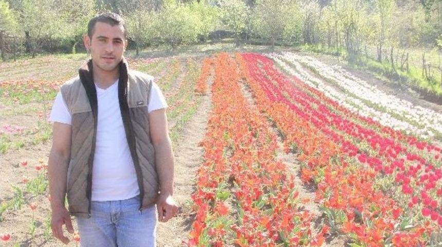 Bartın&rsquo;da Lale Devri