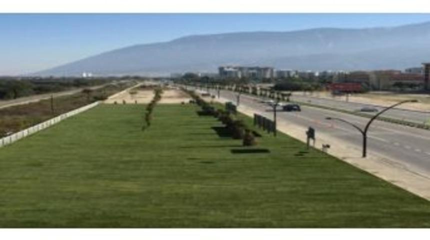 B&uuml;y&uuml;kşehirden Ağa&ccedil; Kesimi İddialarına Yanıt