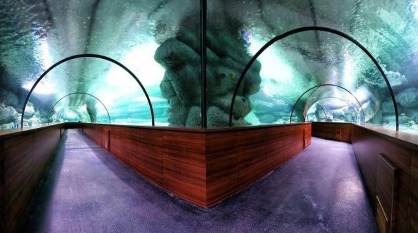 Nata Vega Outlet Avm&rsquo;den Eğlence Kampanyası