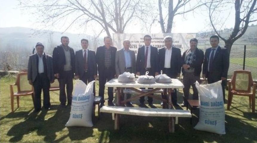 &Ccedil;ift&ccedil;ilere Karabuğday Tohumu Dağıtıldı