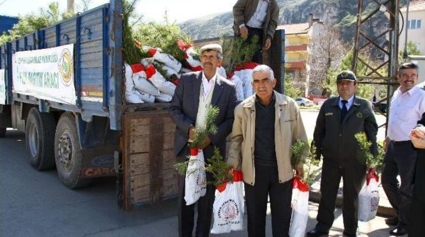 İn&ouml;n&uuml; Şehitleri İ&ccedil;in 4 Bin Fidan Dağıtımı