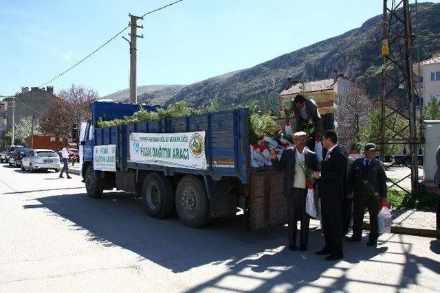 İnönü Şehitleri İçin 4 Bin Fidan Dağıtımı