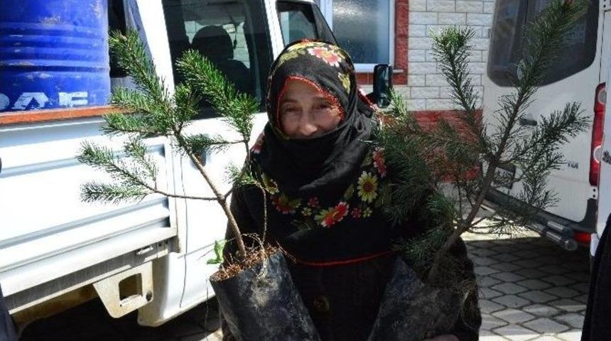 &Uuml;nye&rsquo;de Binlerce Fidan Dağıtıldı