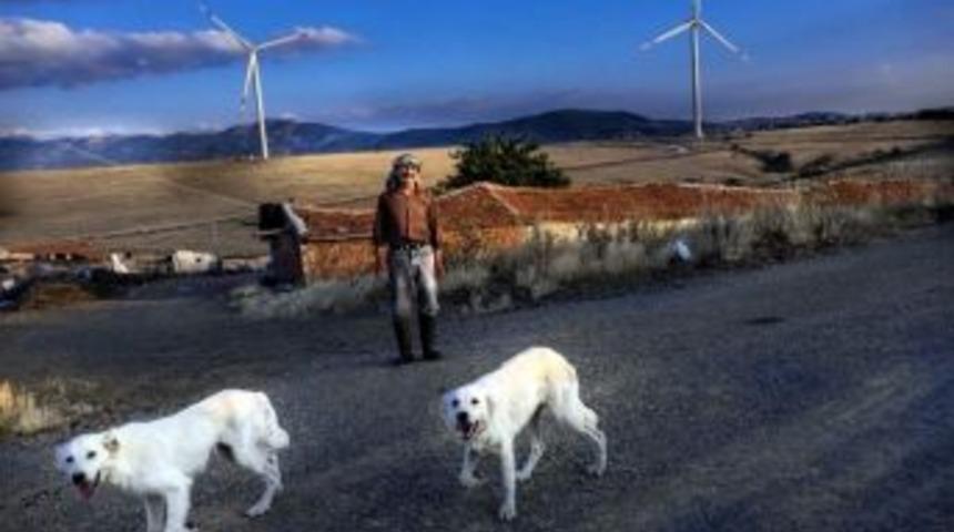 Aliağa&rsquo;da Fotoğraf Yarışmasına Başvurular S&uuml;r&uuml;yor