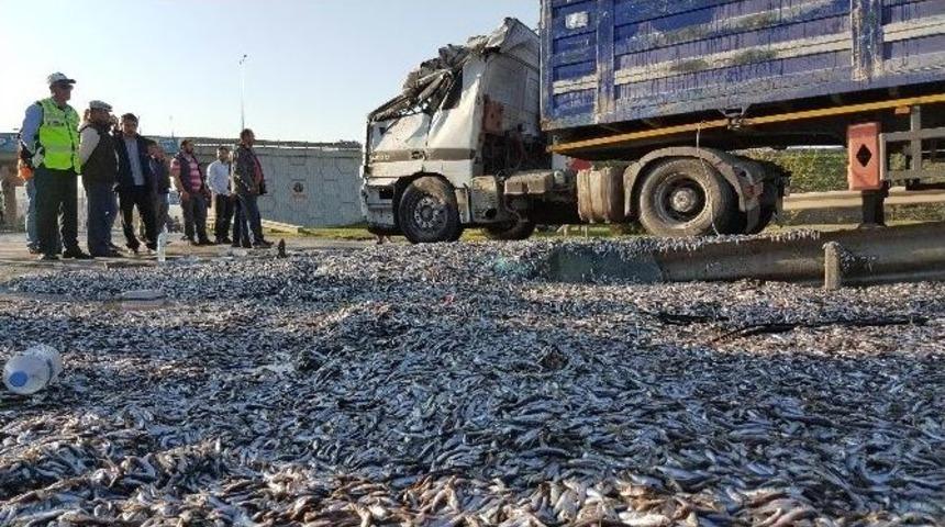 Hamsi Y&uuml;kl&uuml; Tır Devrildi: 1 Yaralı