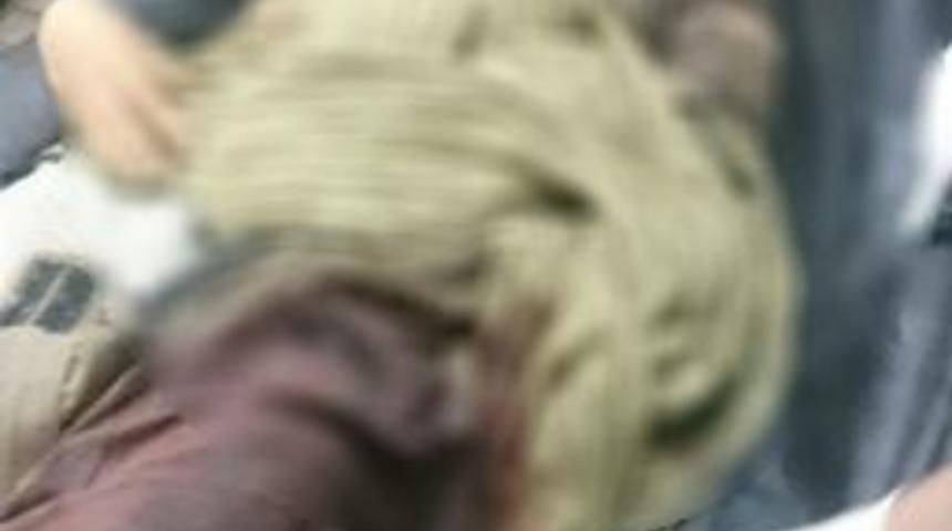 Pkk&rsquo;nın Amanos Sorumlusu &Ouml;ld&uuml;r&uuml;ld&uuml;