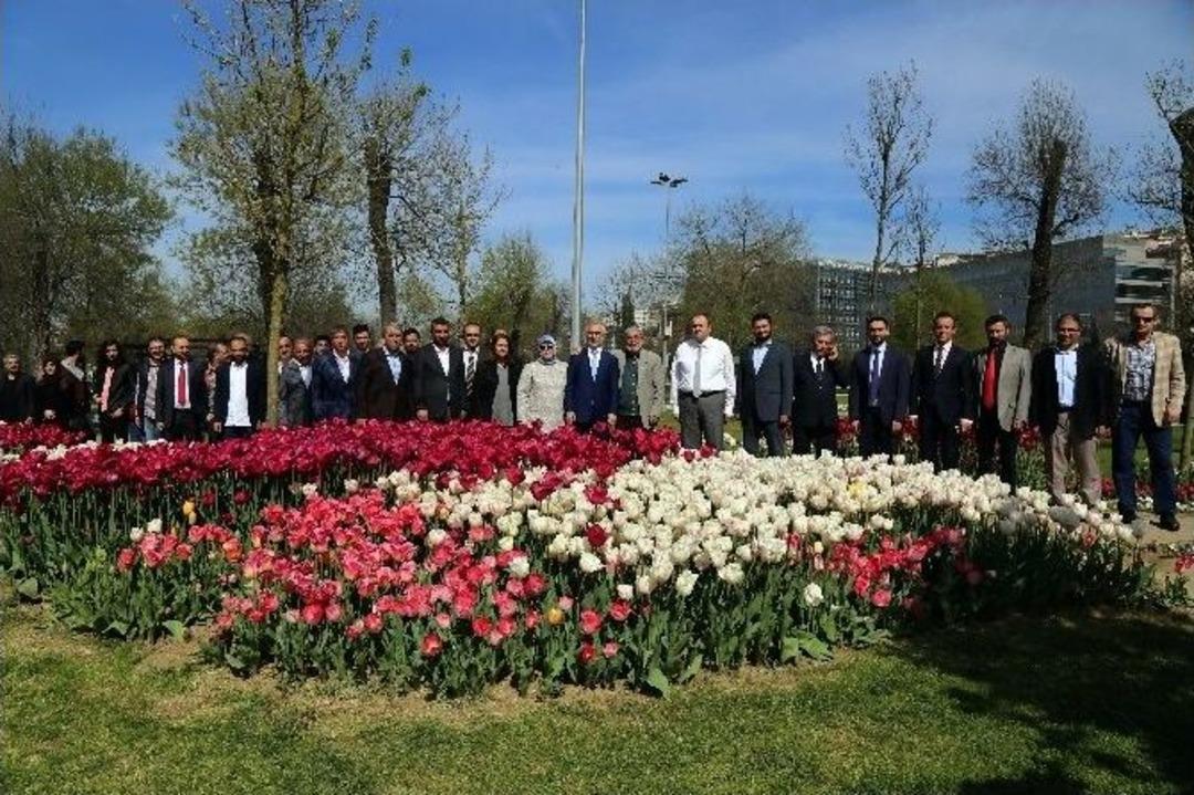 Hasbah&ccedil;e&rsquo;de Lale Festivali Başladı