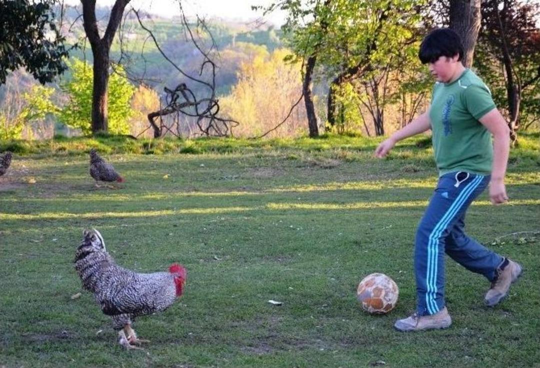 Futbol Sihirbazı &rsquo;horozovi&ccedil;&rsquo;