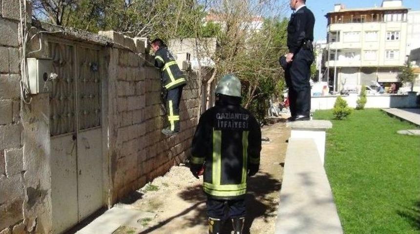 Asılsız &lsquo;yaralı Kadın&rsquo; İhbarı Paniğe Neden Oldu