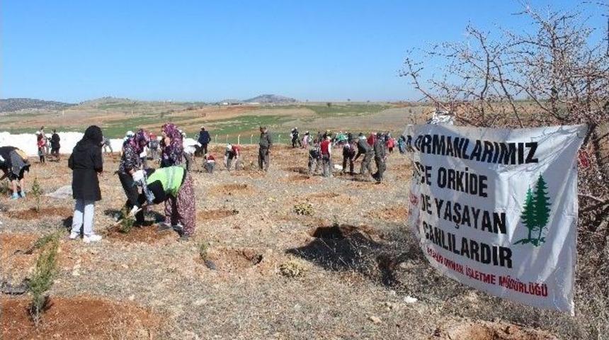 Beyşehir Osb&rsquo;de Fidan Dikimi