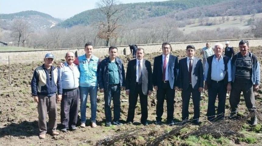 K&ouml;ylere Hizmet G&ouml;t&uuml;rme Birliği&rsquo;nden Meyve Fidanı Desteği