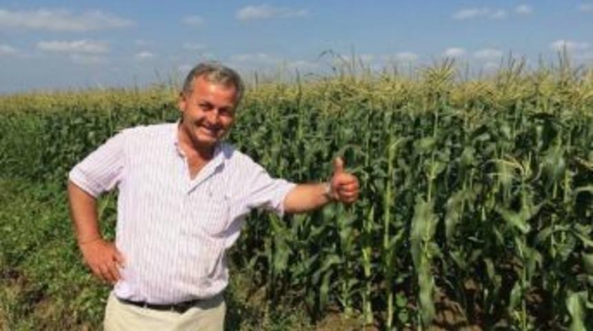 Tarsus Sebze Ve Meyve Halinde Ispanak Tartışması: 1 &Ouml;l&uuml;