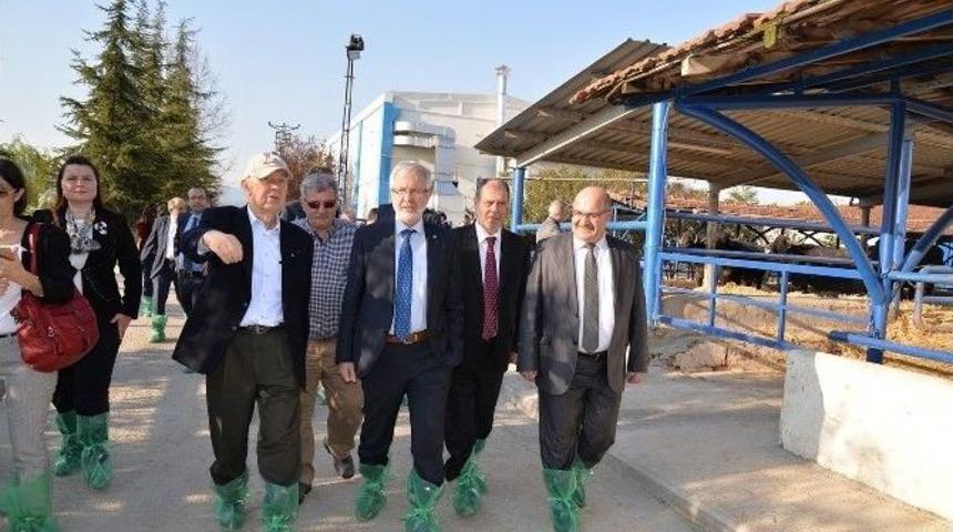 Başarısız Meslek Y&uuml;ksekokulları Kapatılacak