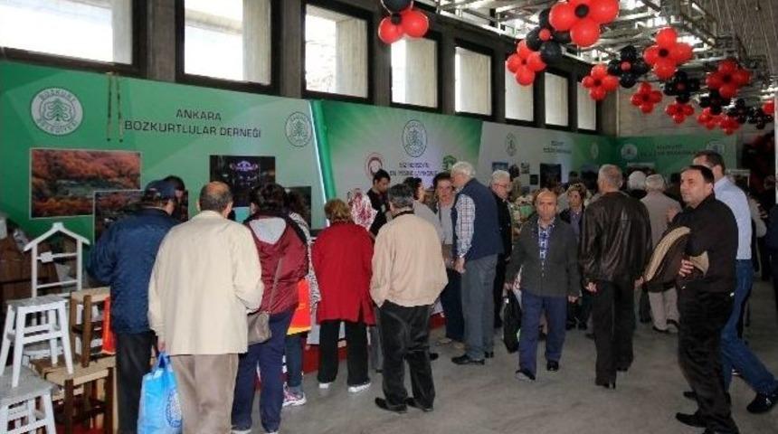 Başkentteki Bozkurt Standı Ziyaret&ccedil;ilerden Tam Not Aldı