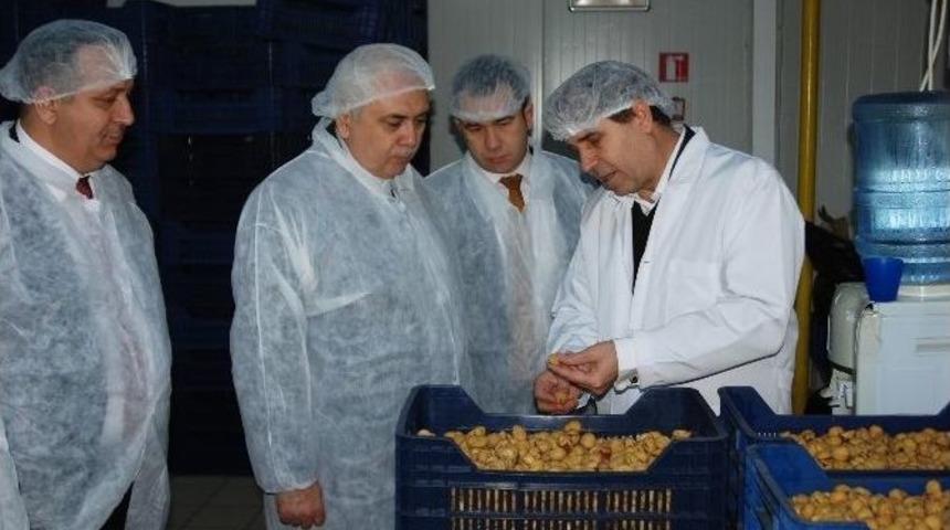 Kardelen’de Hijyenik Üretim