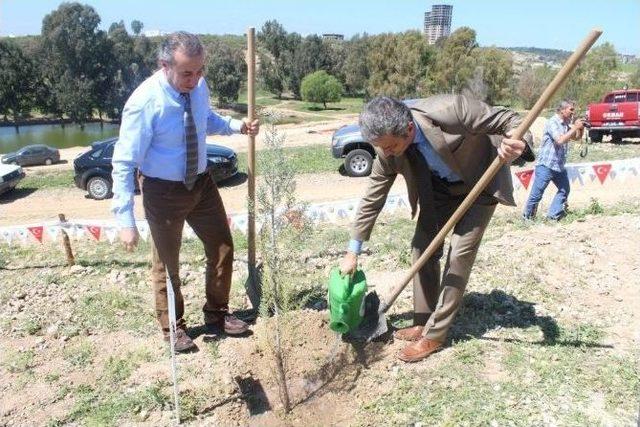 “hemofili Hastaları Hatıra Ormanı“nda 2 Bin Ağaç Umutla Büyüyecek