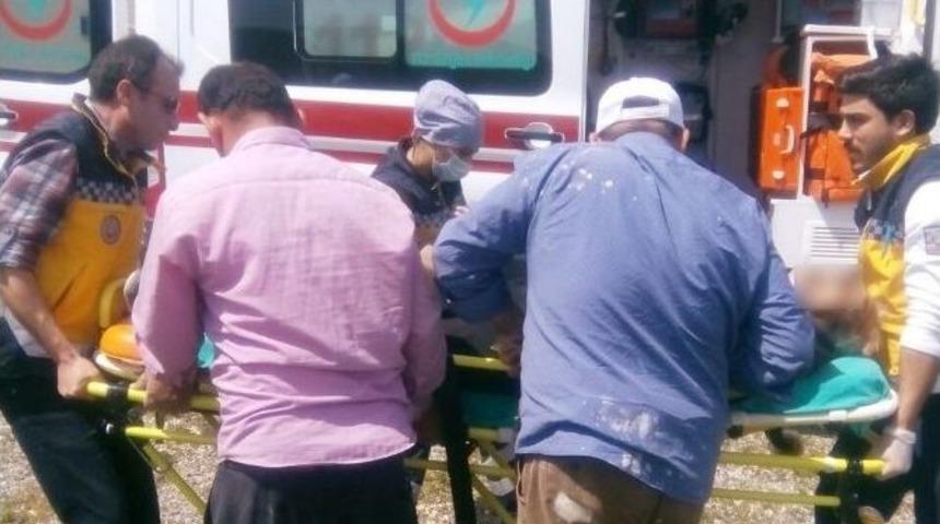 Ara&ccedil;lardan &Uuml;rken At Sahibini &Uuml;zerinden Atarak &Ouml;l&uuml;m&uuml;ne Neden Oldu