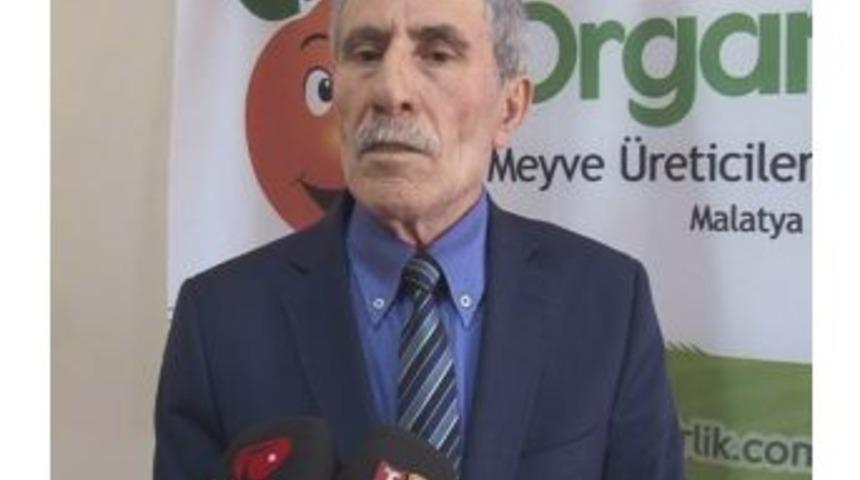 Kayısıda Don Zararı Netleşmedi