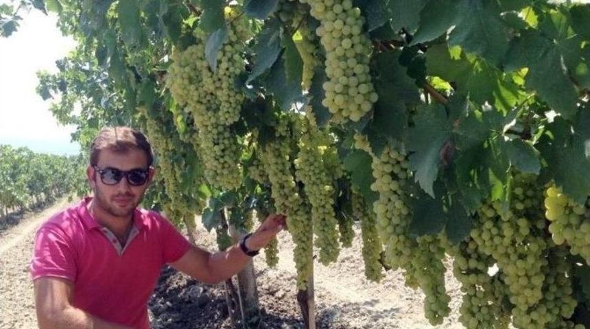 T&uuml;rkiye&rsquo;nin &Uuml;z&uuml;m Fidanı İhtiyacını Karşılıyor