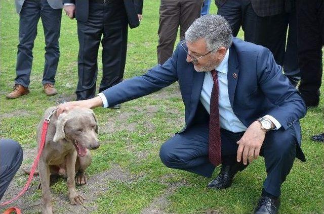 Dak’dan İnönü’de Arama Kurtarma Tatbikatı