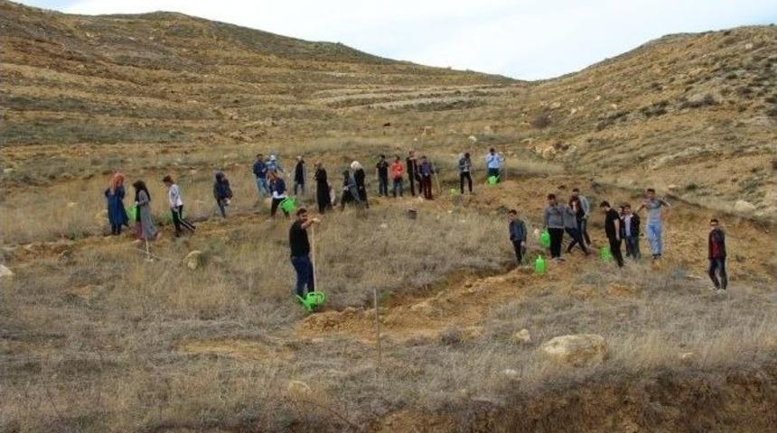 &Ccedil;ankırı&rsquo;da Ak Partili Gen&ccedil;ler 4 Bin Fidan Dikecek