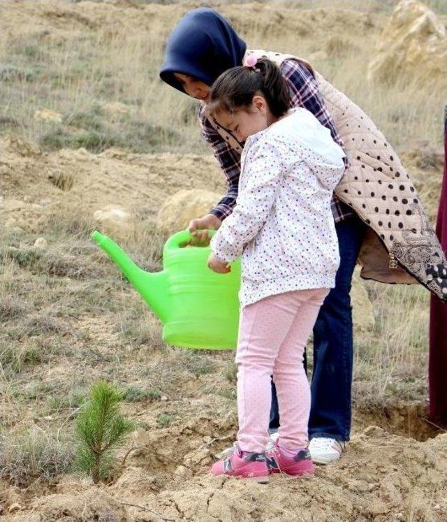 Çankırı’da Ak Partili Gençler 4 Bin Fidan Dikecek