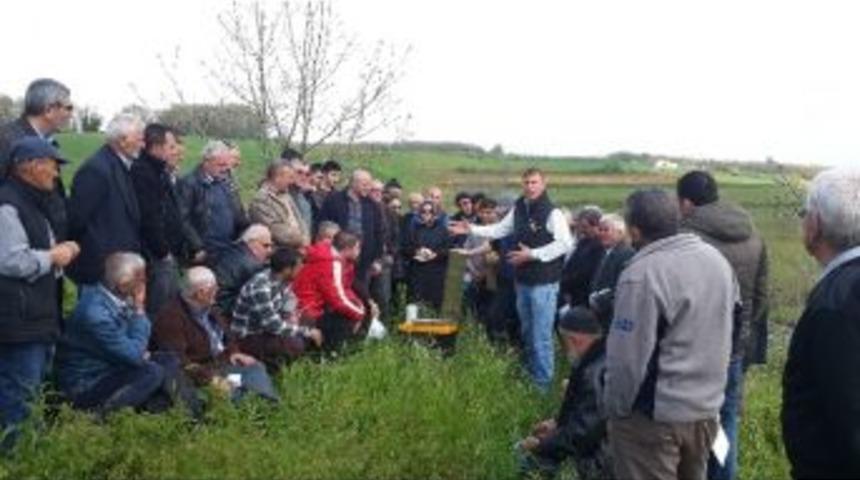 İzmitli &Ccedil;ift&ccedil;ilere Ceviz Yetiştiriciliği Eğitimi