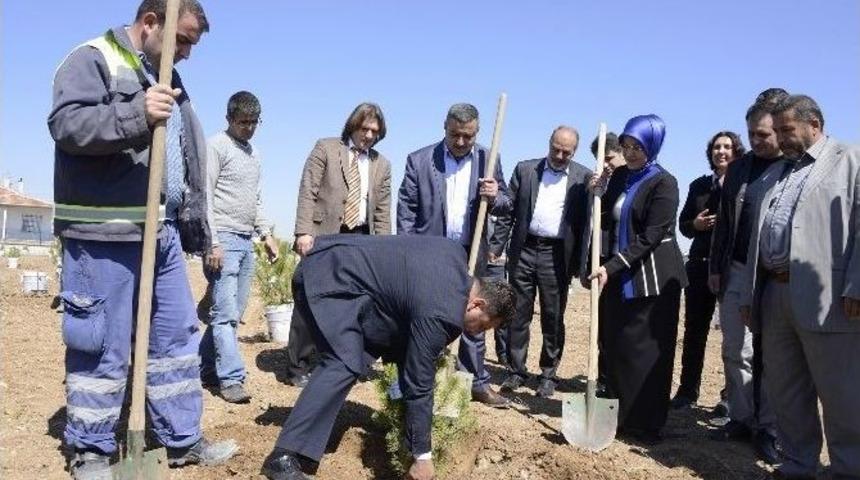 Meram&rsquo;da Mahalle Korulukları Oluşuyor