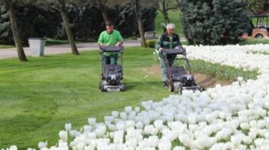 Kocaeli Yeşil Alanlarında Bahar Temizliği Başladı