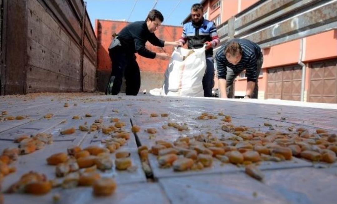 Mısır Y&uuml;kl&uuml; Kamyonda 114 Kilo Esrar, 100 Bin Paket Ka&ccedil;ak Sigara &Ccedil;ıktı