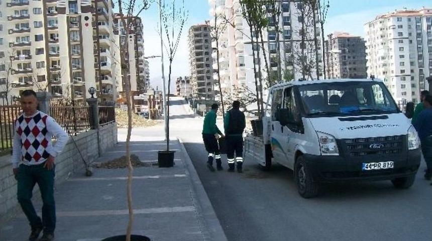 Tecde Mahallesi&rsquo;nde Ağa&ccedil;landırma &Ccedil;alışması Başladı
