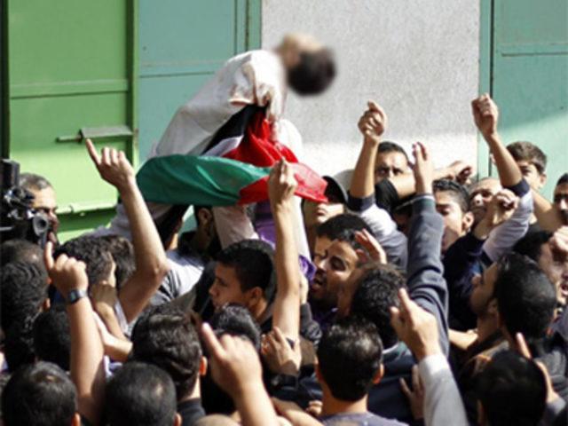 Gazze den korkun&ccedil; kareler 2