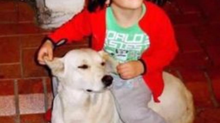 Bilgisayar Adapt&ouml;r&uuml; Tutuştu, K&uuml;&ccedil;&uuml;k Burak Dumandan Zehirlenerek &Ouml;ld&uuml;