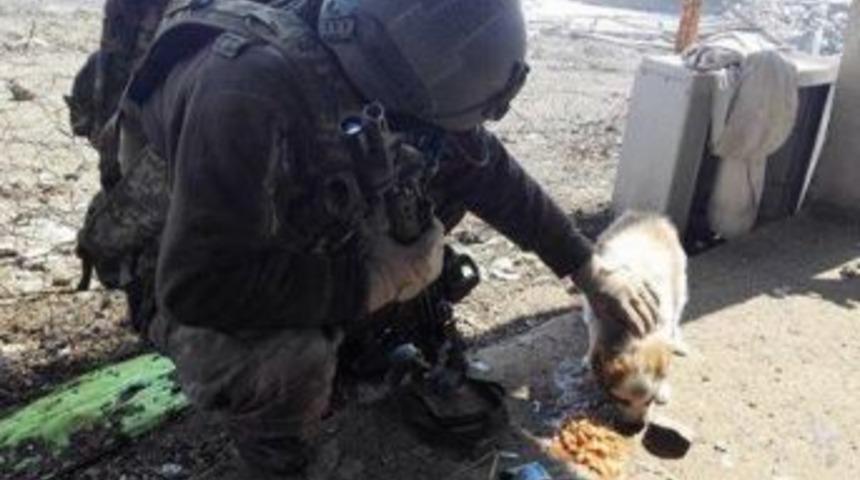 Operasyondaki G&uuml;venlik G&uuml;&ccedil;lerinden &Ouml;rnek Davranış